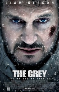 The_Grey_Poster