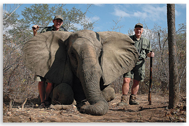 africas_dangerous_game_elephant
