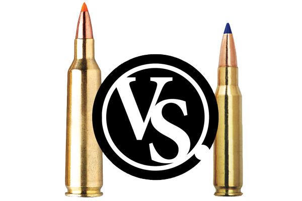 .22-250 vs. .223 Tested - Which is the Best Coyote Cartridge? 