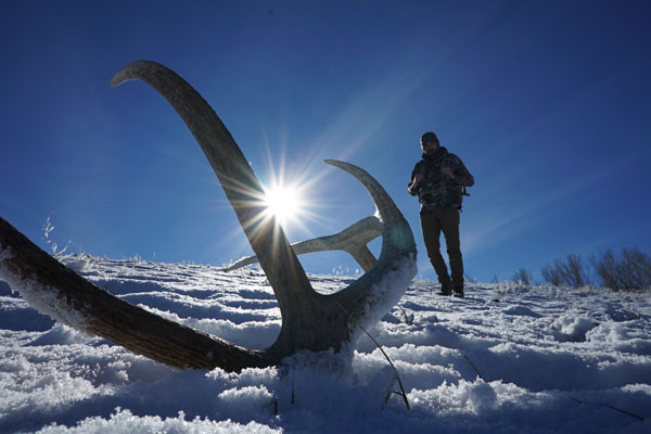 elk-shed-hunting-tricks
