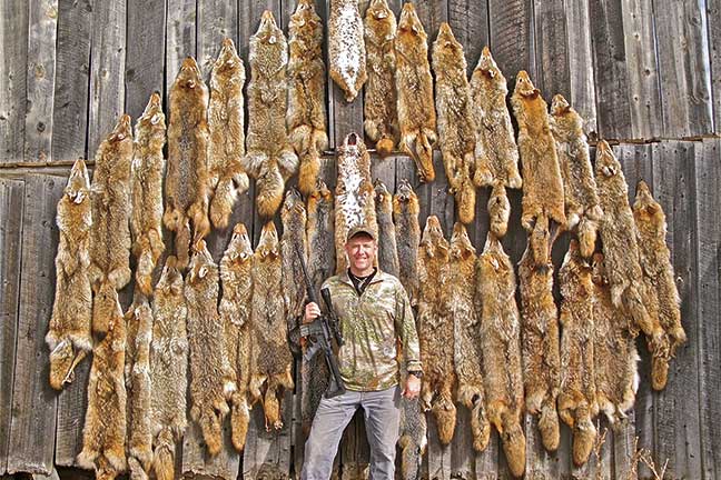 Coyote-Hunting-Tips-and-Tactics