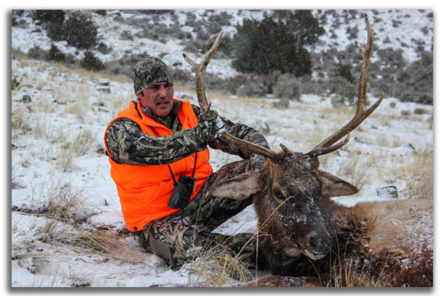 elk-tough-hunts-in-north-america-for-DIY