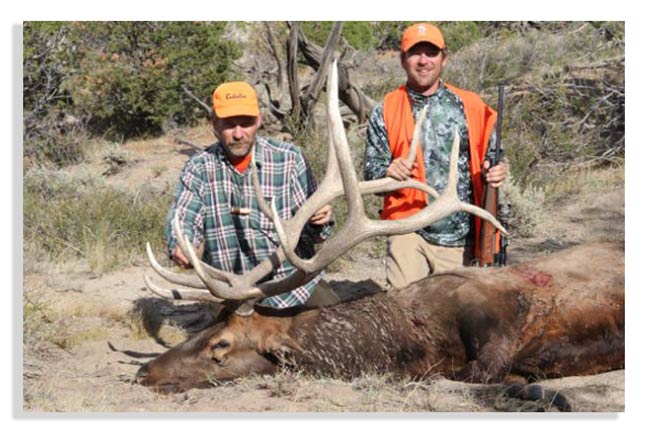 tips-for-hunting-elk