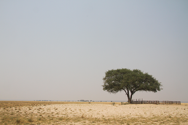 Namibia plains