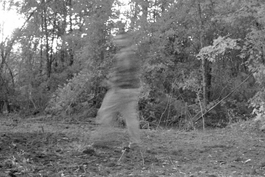 Did Trail Cam Catch an Alabama Ghost? 