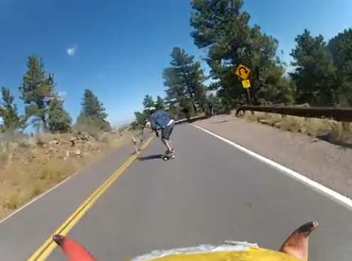 Viral Video: Deer Runs into Skateboarder on Downhill Course
