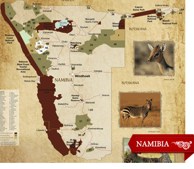 4 Great Options for a First Safari: Namibia