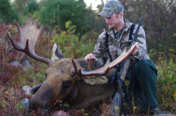 Newfoundland Moose Hunting: The Rugged Adventure