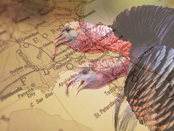 Michael Waddell's Ultimate Southern Turkey Hunting Road Trips