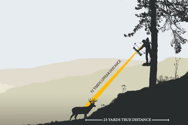 Should You Aim High Or Low from Treestand? 
