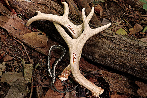 The Rattle Battle: Best Whitetail Rattling System This Season