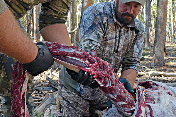 HUNTING's Guide to Better Backstraps
