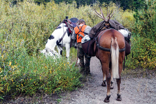 Dummies Guide To: DIY Horseback Hunting