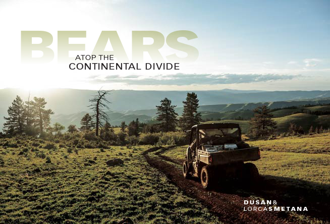 Bears Atop the Continental Divide