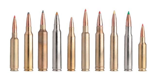 Top 10 Big Game Rifle Cartridges