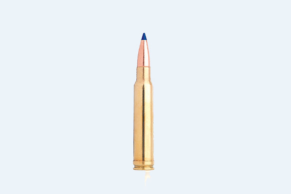 .338 Winchester Magnum: The Ultimate Big-Game Caliber