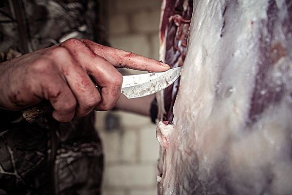 Deer Meat  &mdash;  How To Butcher Your Own The Easy Way