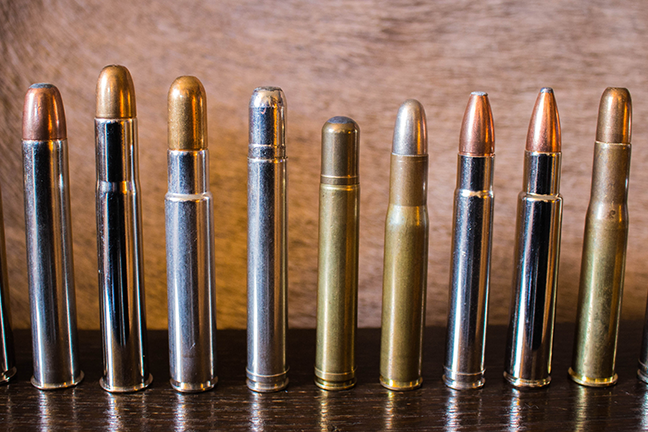 Big Bore Hunting Cartridges for the Biggest Wild Game